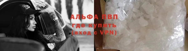 спайс Баксан