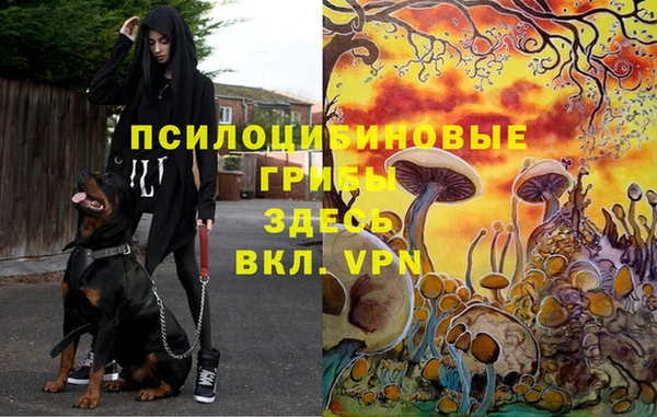 спайс Баксан