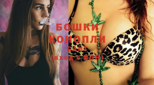 спайс Баксан