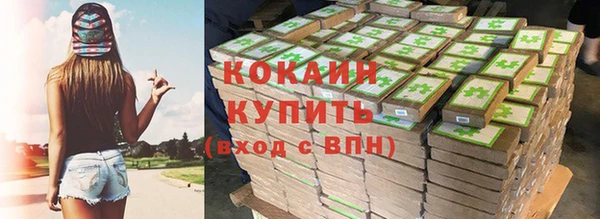 прущие грибы Магас