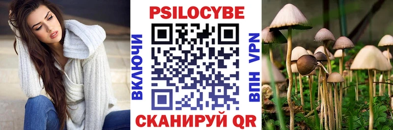 цена   Шатура  Галлюциногенные грибы Psilocybine cubensis 