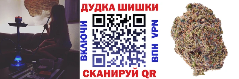где можно купить наркотик  Шатура  Конопля сатива 